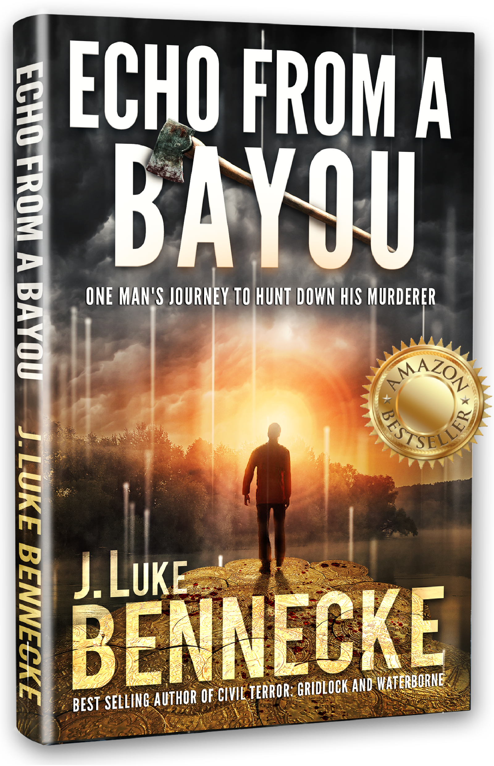 Cover image for Echo from a Bayou